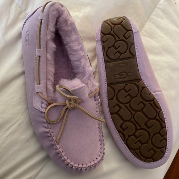 UGG Shoes Ugg Dakota Slipper Lavender Poshmark